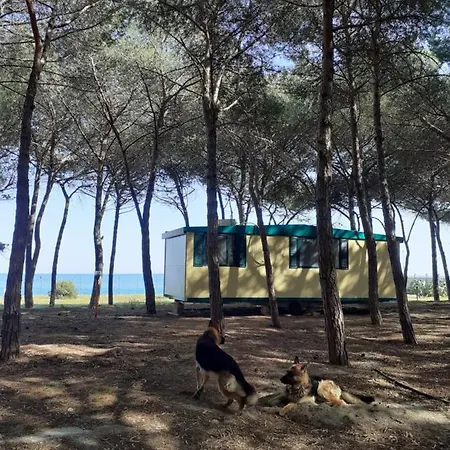 Κάμπινγκ Camping Cammello Grigio *