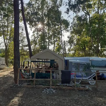 Κάμπινγκ Camping Cammello Grigio Roccella (Calabria)
