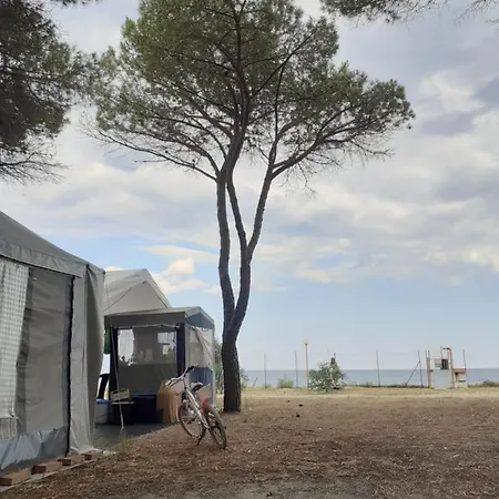 Camping Cammello Grigio Κάμπινγκ Roccella (Calabria)