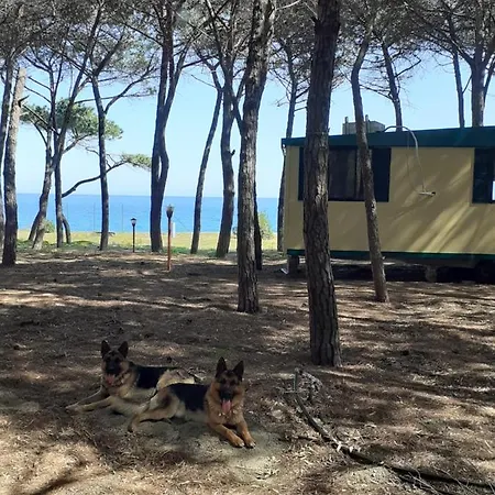 Camping Cammello Grigio Κάμπινγκ *