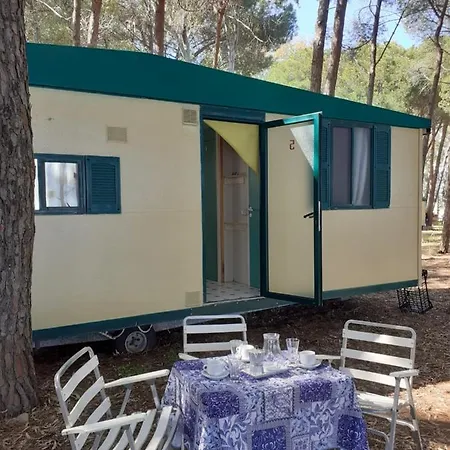 Κάμπινγκ Camping Cammello Grigio Roccella (Calabria)