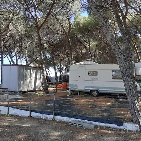 Camping Cammello Grigio *