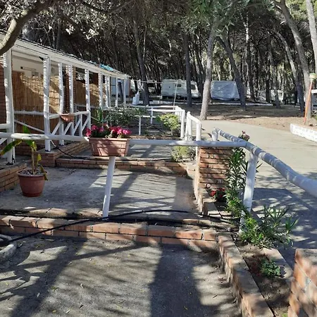 Camping Cammello Grigio