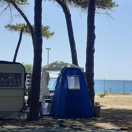 Camping Cammello Grigio