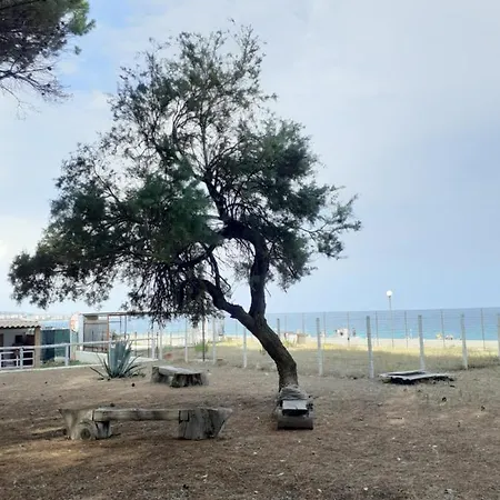 Κάμπινγκ Camping Cammello Grigio