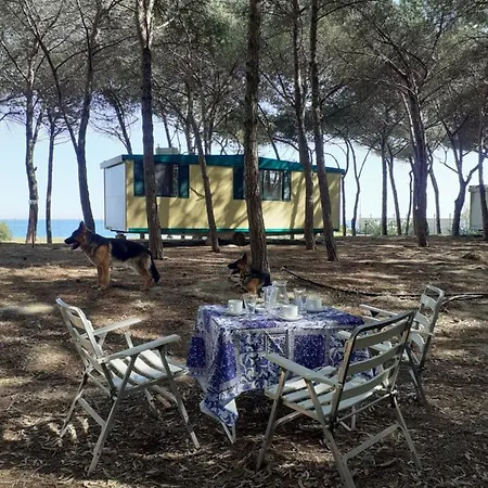 Κάμπινγκ Camping Cammello Grigio Roccella (Calabria)