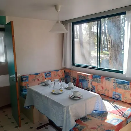 Camping Cammello Grigio *