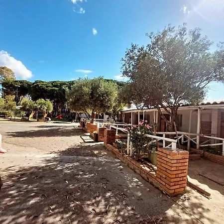 Campsite Cammello Grigio