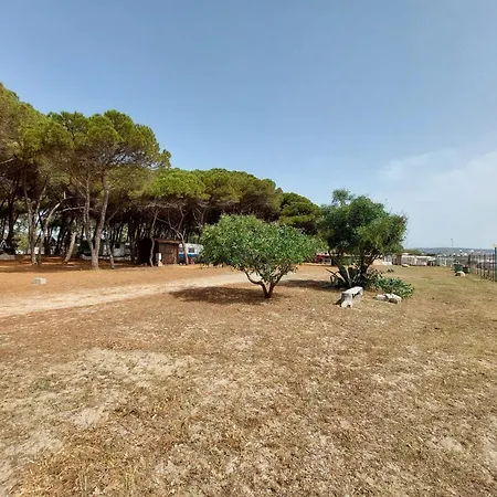 Cammello Grigio Campsite