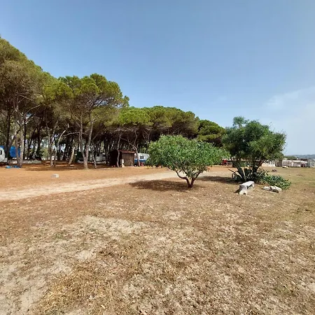Campsite Cammello Grigio