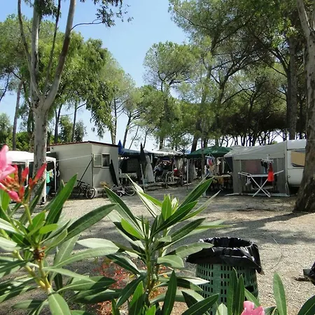 Camping Cammello Grigio *
